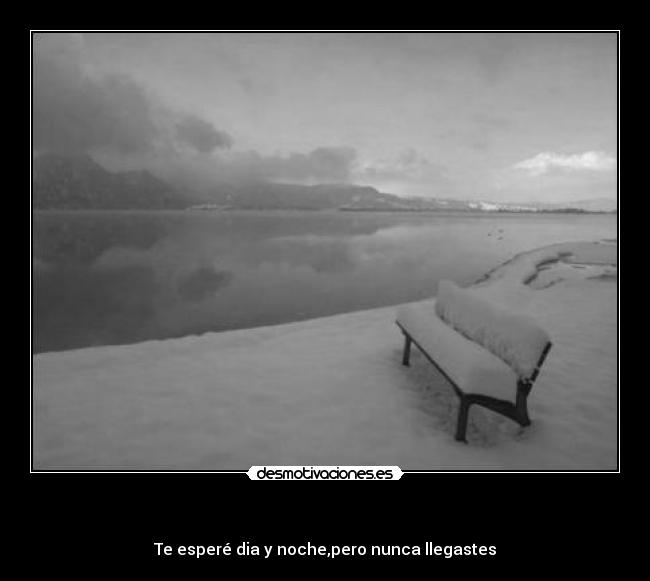 carteles banco jaimito hay una porra asiento quien sentaraaaaaa desmotivaciones