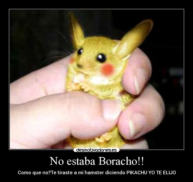No estaba Boracho!! -