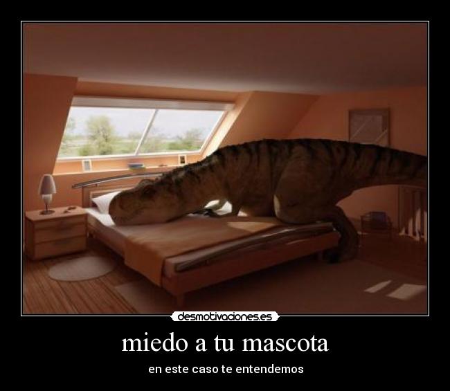 miedo a tu mascota - en este caso te entendemos