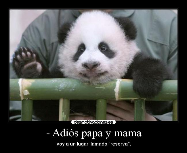 - Adiós papa y mama - 