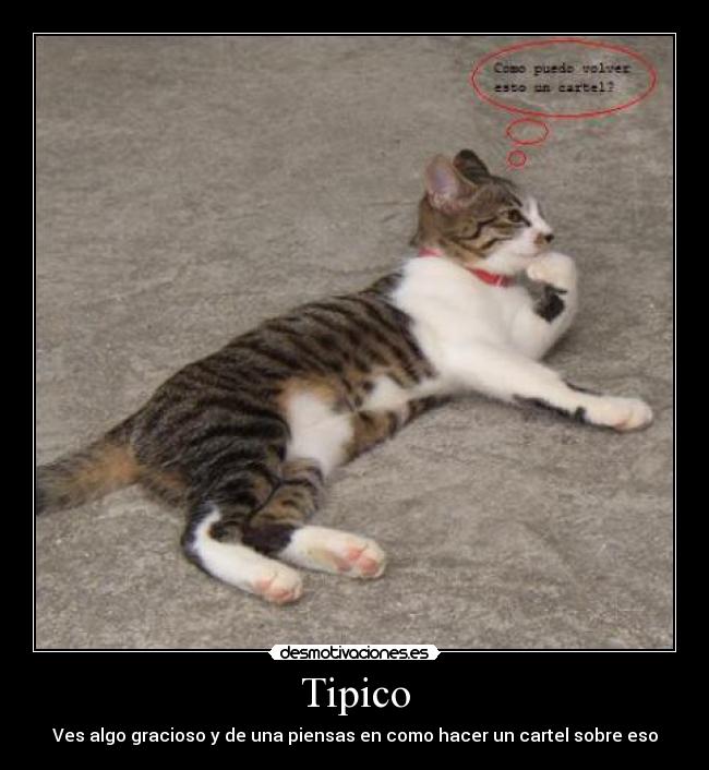 Tipico - Ves algo gracioso y de una piensas en como hacer un cartel sobre eso