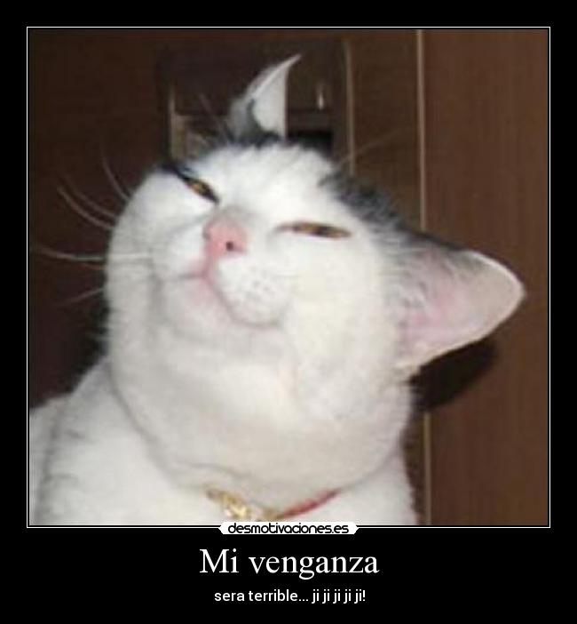 carteles gato malo desmotivaciones