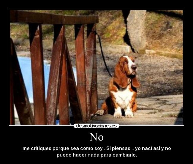 No - me critiques porque sea como soy . Si piensas... yo nací asi y no
puedo hacer nada para cambiarlo.