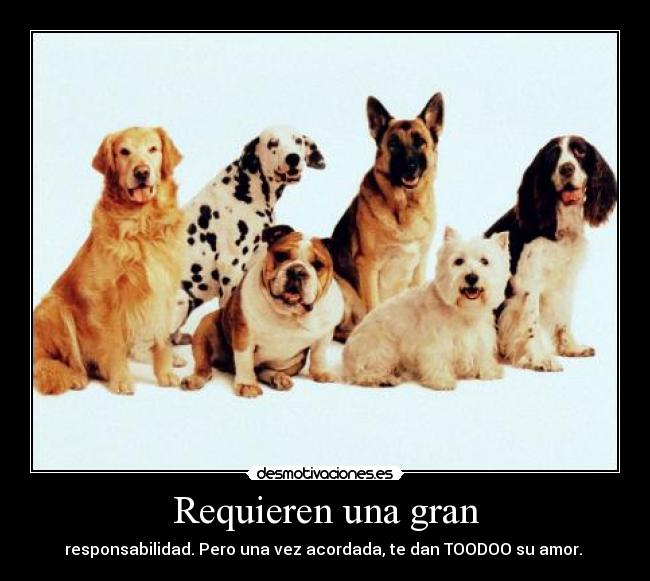 Requieren una gran -