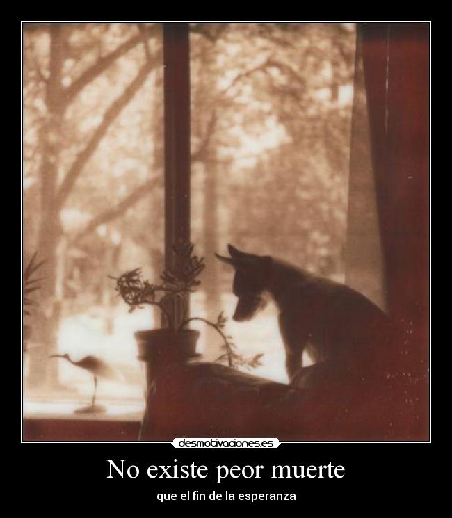No existe peor muerte - 