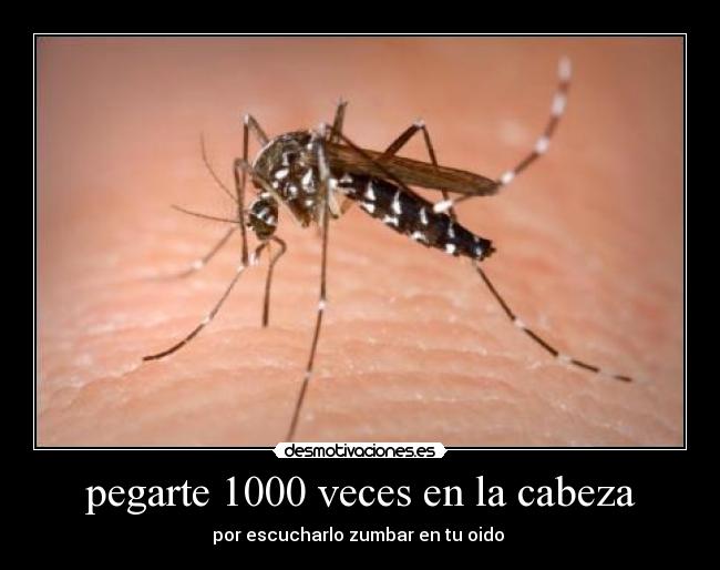 pegarte 1000 veces en la cabeza -
