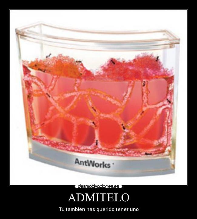 ADMITELO - Tu tambien has querido tener uno