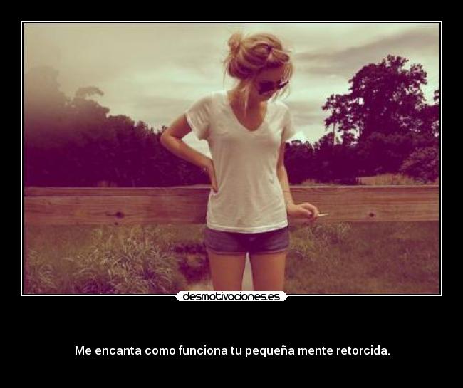 carteles encanta como funciona pequena mente retorcida desmotivaciones