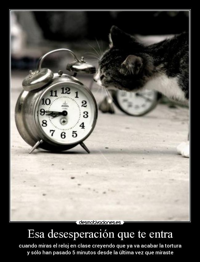 Esa desesperación que te entra - cuando miras el reloj en clase creyendo que ya va acabar la tortura
y sólo han pasado 5 minutos desde la última vez que miraste