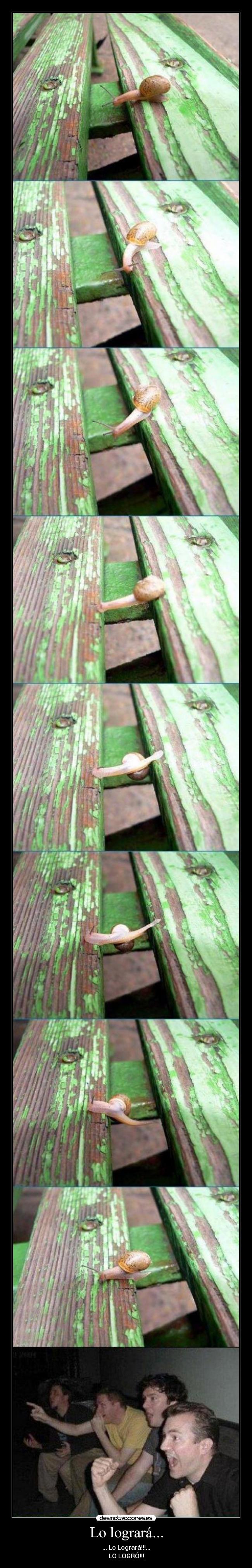 Lo logrará... - ... Lo Logrará!!!...
LO LOGRÓ!!!