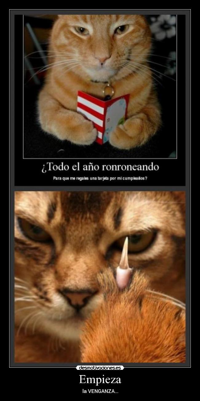 Empieza - la VENGANZA...