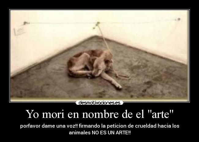 Yo mori en nombre de el arte -
