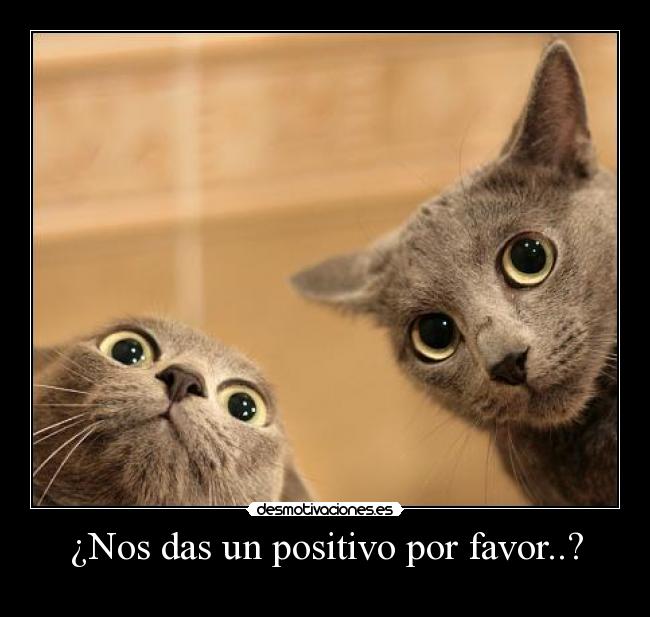 ¿Nos das un positivo por favor..? -