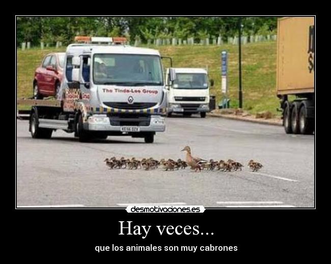 Hay veces... -
