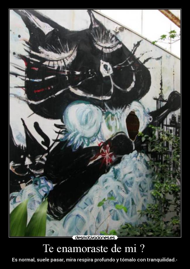 Te enamoraste de mi ? - Es normal, suele pasar, mira respira profundo y tómalo con tranquilidad.-