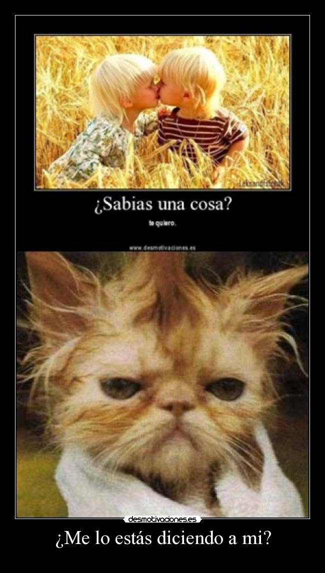¿Me lo estás diciendo a mi? - 