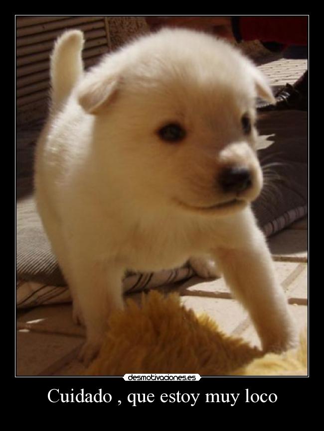 Cuidado , que estoy muy loco -