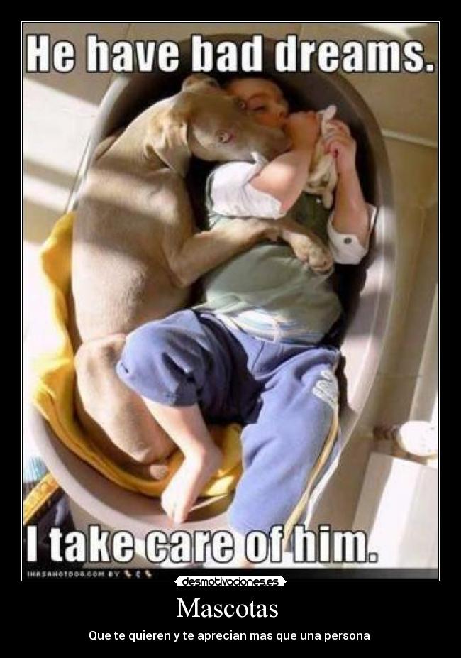 Mascotas  - 