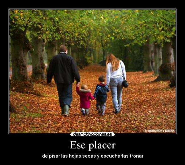 Ese placer - de pisar las hojas secas y escucharlas tronar