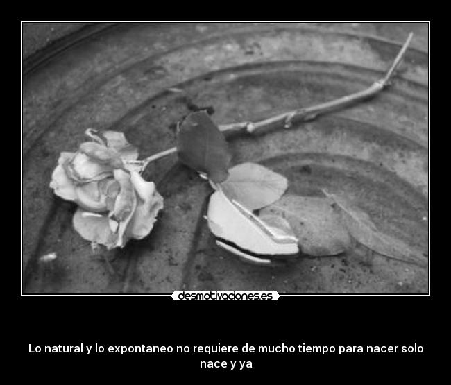   - Lo natural y lo expontaneo no requiere de mucho tiempo para nacer solo nace y ya