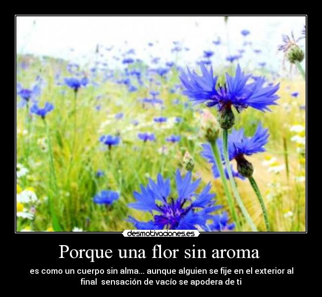 Porque una flor sin aroma  - es como un cuerpo sin alma... aunque alguien se fije en el exterior al
final  sensación de vacío se apodera de ti