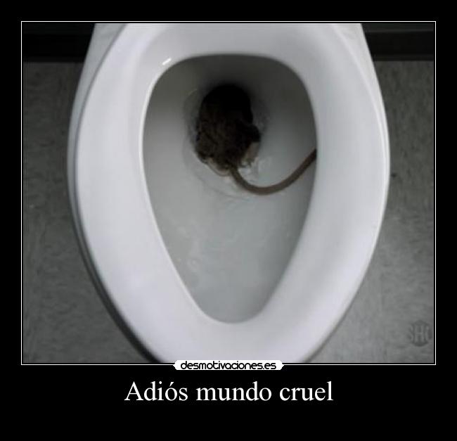 Adiós mundo cruel -