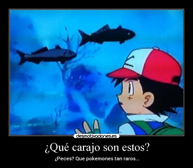 ¿Qué carajo son estos? -