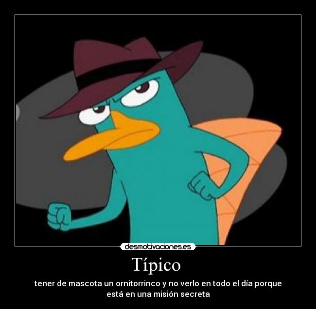 Típico -