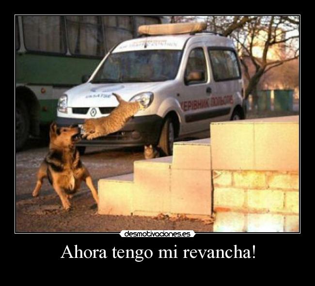 Ahora tengo mi revancha! -