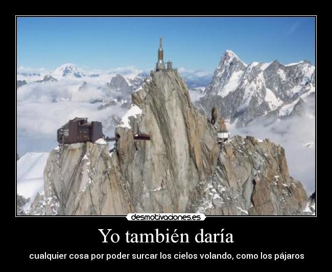 Yo también daría -