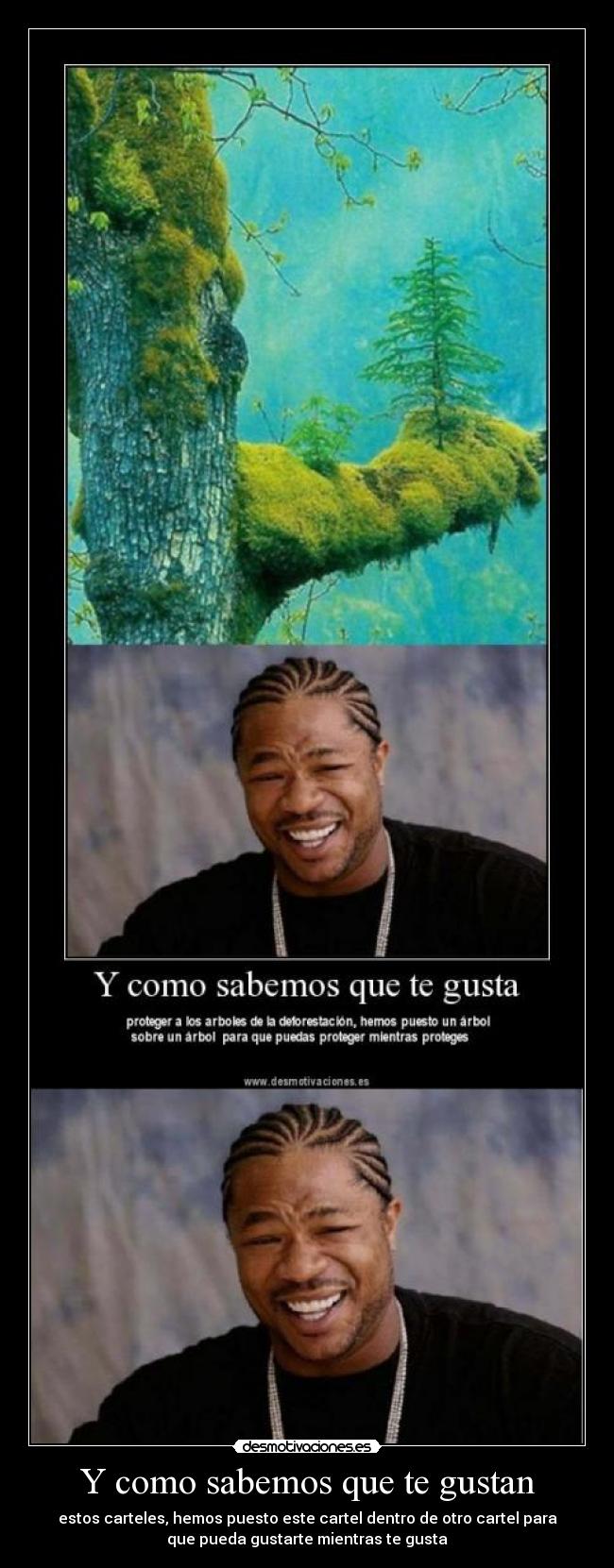 Y como sabemos que te gustan - 