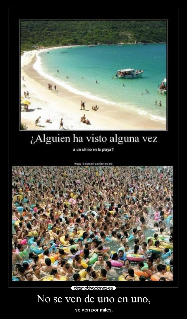 No se ven de uno en uno, - se ven por miles.