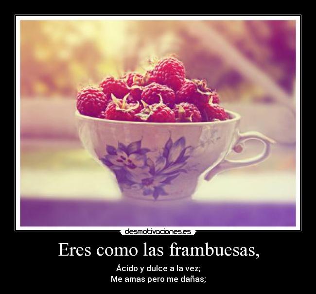 carteles todo joana_28 prima xdd desmotivaciones