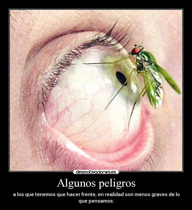 Algunos peligros - a los que tenemos que hacer frente, en realidad son menos graves de lo
que pensamos.