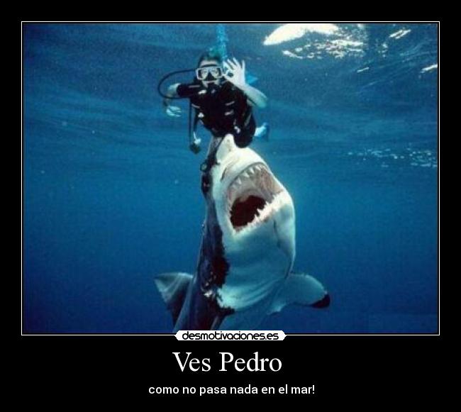 Ves Pedro - como no pasa nada en el mar!