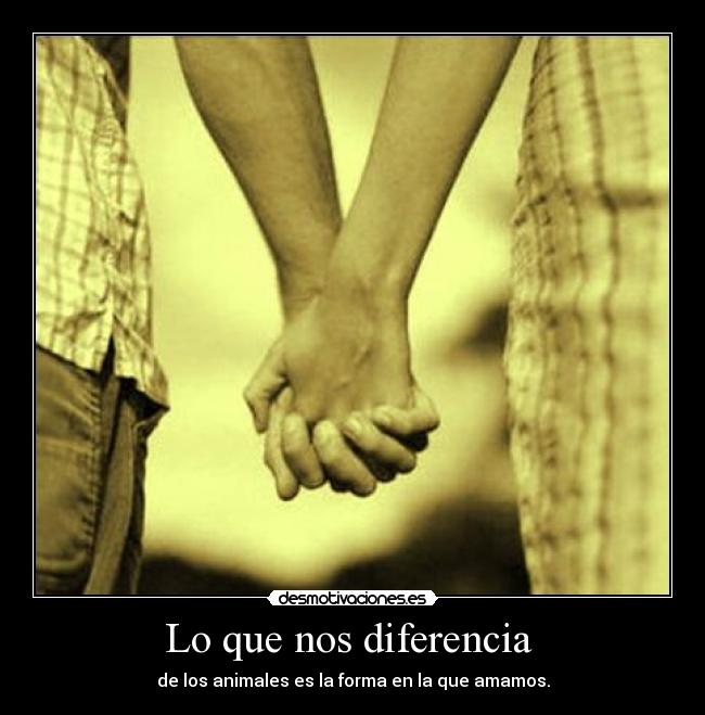 Lo que nos diferencia - de los animales es la forma en la que amamos.