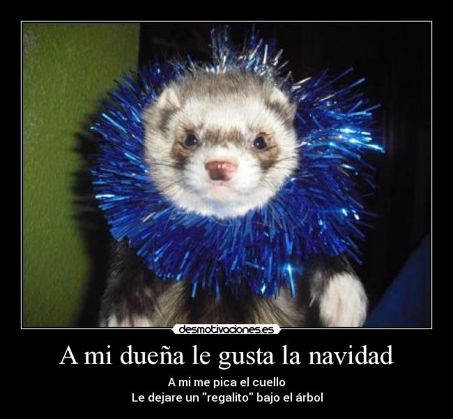 carteles navidad foto cedida por usuaria huroncilla desmotivaciones