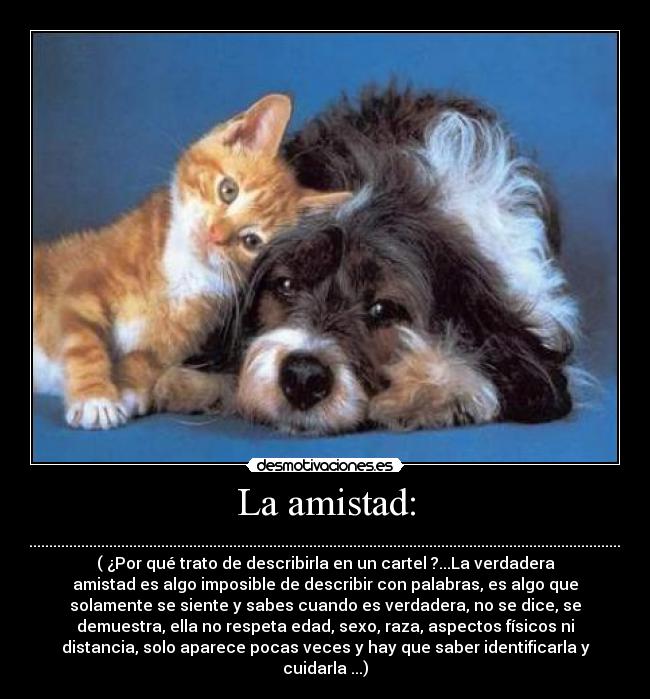 La amistad: - .................................................................................................................................................................................................................................................................................................................................................................................................................................
( ¿Por qué trato de describirla en un cartel ?...La verdadera
amistad es algo imposible de describir con palabras, es algo que
solamente se siente y sabes cuando es verdadera, no se dice, se
demuestra, ella no respeta edad, sexo, raza, aspectos físicos ni
distancia, solo aparece pocas veces y hay que saber identificarla y
cuidarla ...)