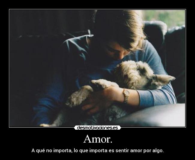 Amor. - A qué no importa, lo que importa es sentir amor por algo.