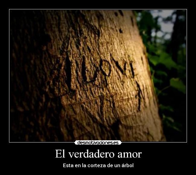 carteles amor verdadero amor desmotivaciones