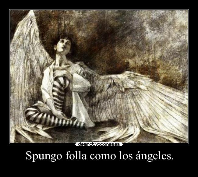 Spungo folla como los ángeles. -