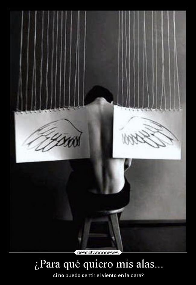 ¿Para qué quiero mis alas... - si no puedo sentir el viento en la cara?