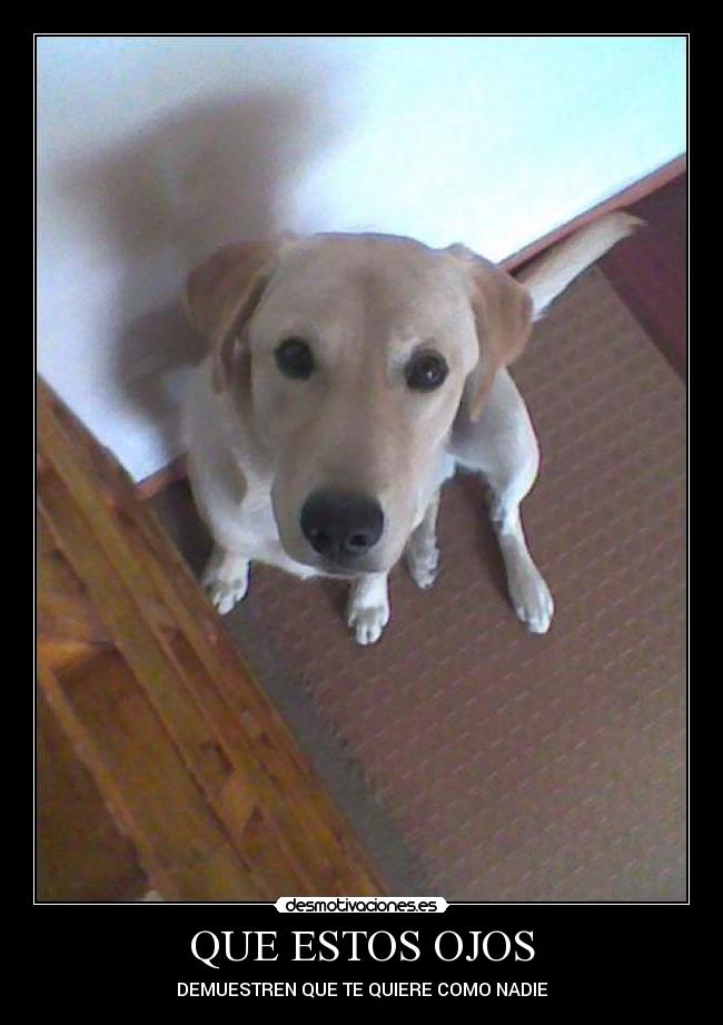 QUE ESTOS OJOS -