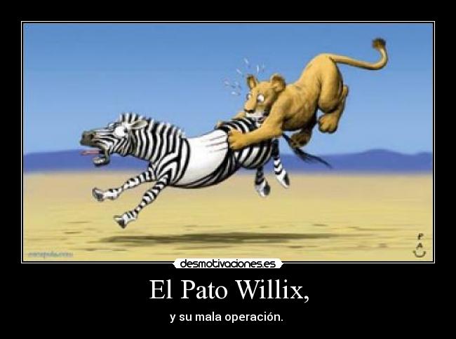 El Pato Willix, - y su mala operación.