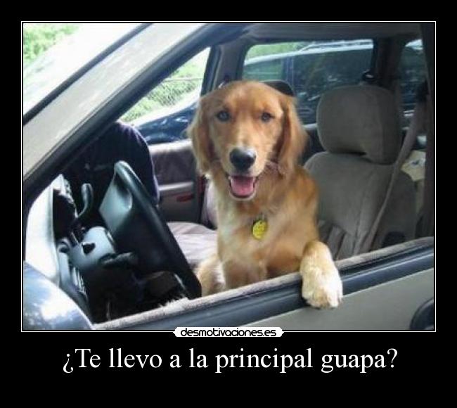 ¿Te llevo a la principal guapa? -