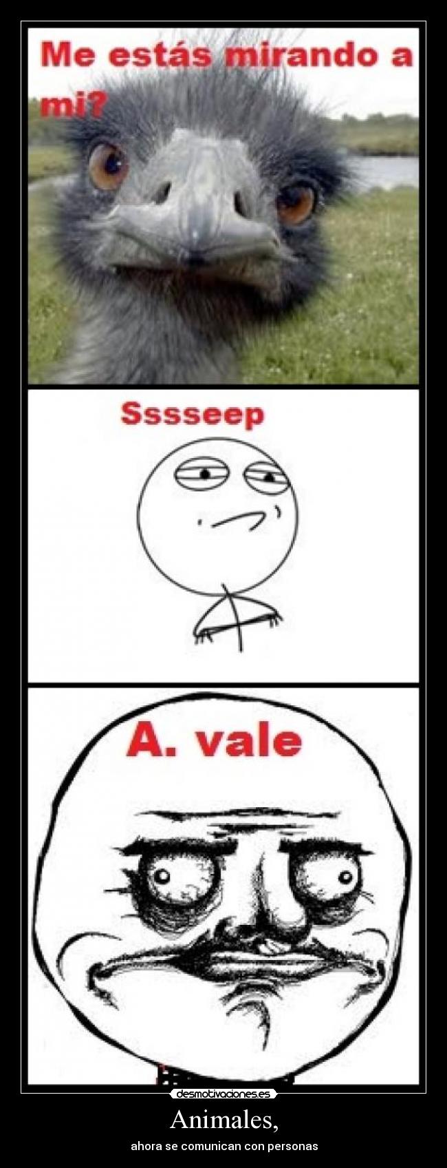 Animales, - ahora se comunican con personas