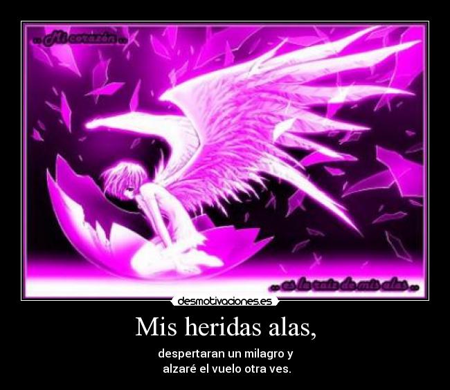 Mis heridas alas, - despertaran un milagro y
 alzaré el vuelo otra ves.