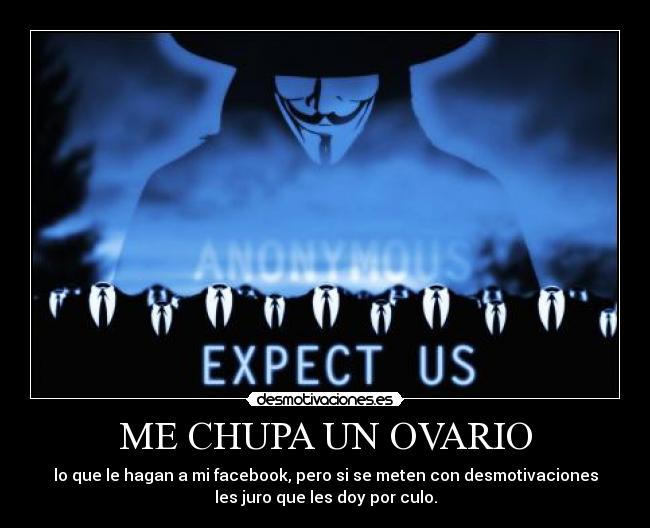 carteles anonymousdesmotivacionesmemogaypornofacebookfinnocarajoovariochupameculo desmotivaciones