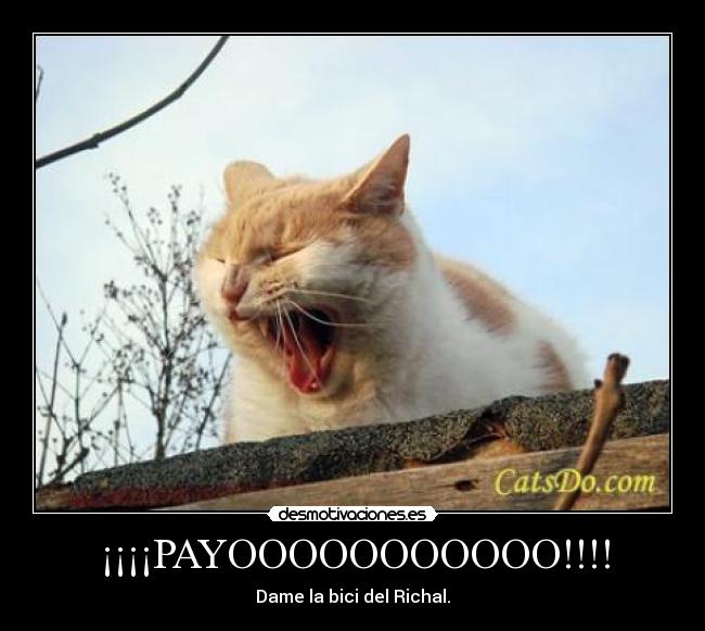 ¡¡¡¡PAYOOOOOOOOOOO!!!! - Dame la bici del Richal.