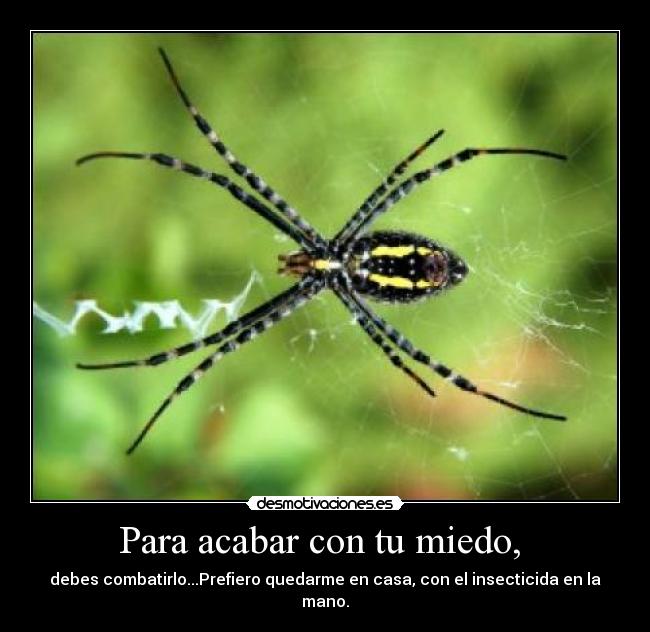 Para acabar con tu miedo, - debes combatirlo...Prefiero quedarme en casa, con el insecticida en la mano.